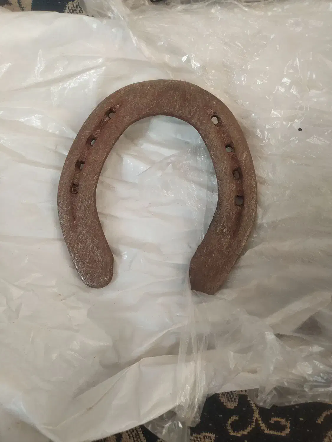 نعل اسب|اسب و تجهیزات اسب‌سواری|فردیس, منظریه|دیوار