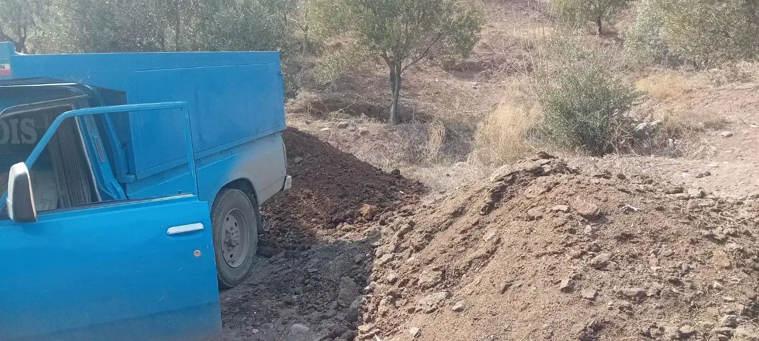 کود دامی|خدمات باغبانی و درختکاری|رشت, پارک شهر|دیوار