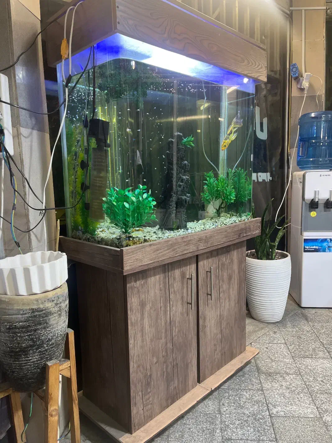 اکواریوم|ماهی|تهران, قیام|دیوار