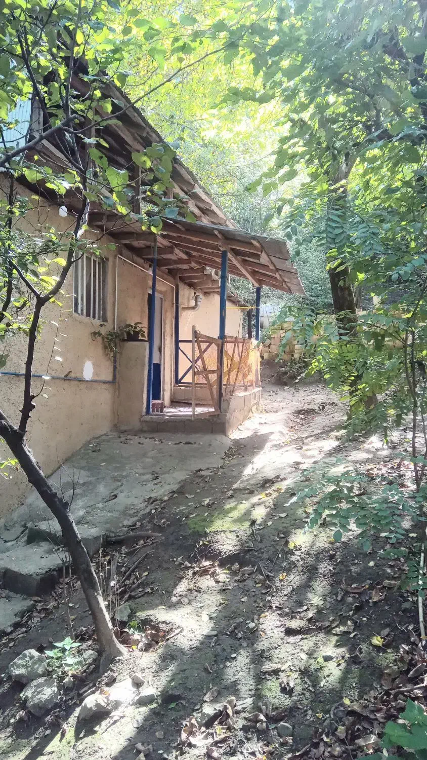 سوییت جنگلی|اجارهٔ کوتاه‌مدت آپارتمان و سوئیت|ماسوله, |دیوار