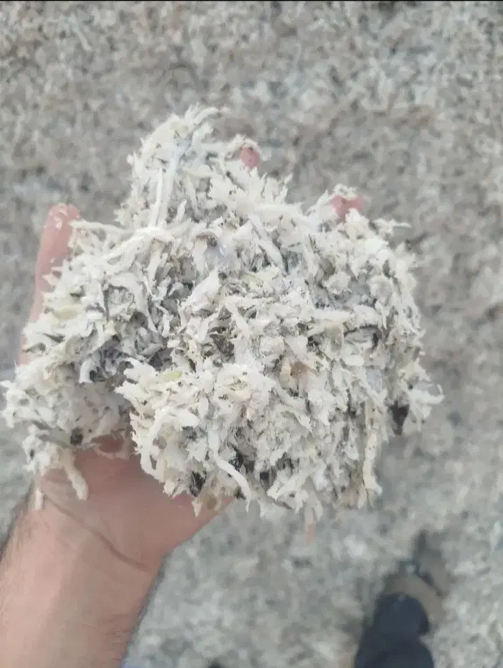 علوفه سوپردان کشت اول کردستان وتفاله چغندر قند|لوازم جانبی حیوانات|سراب, |دیوار