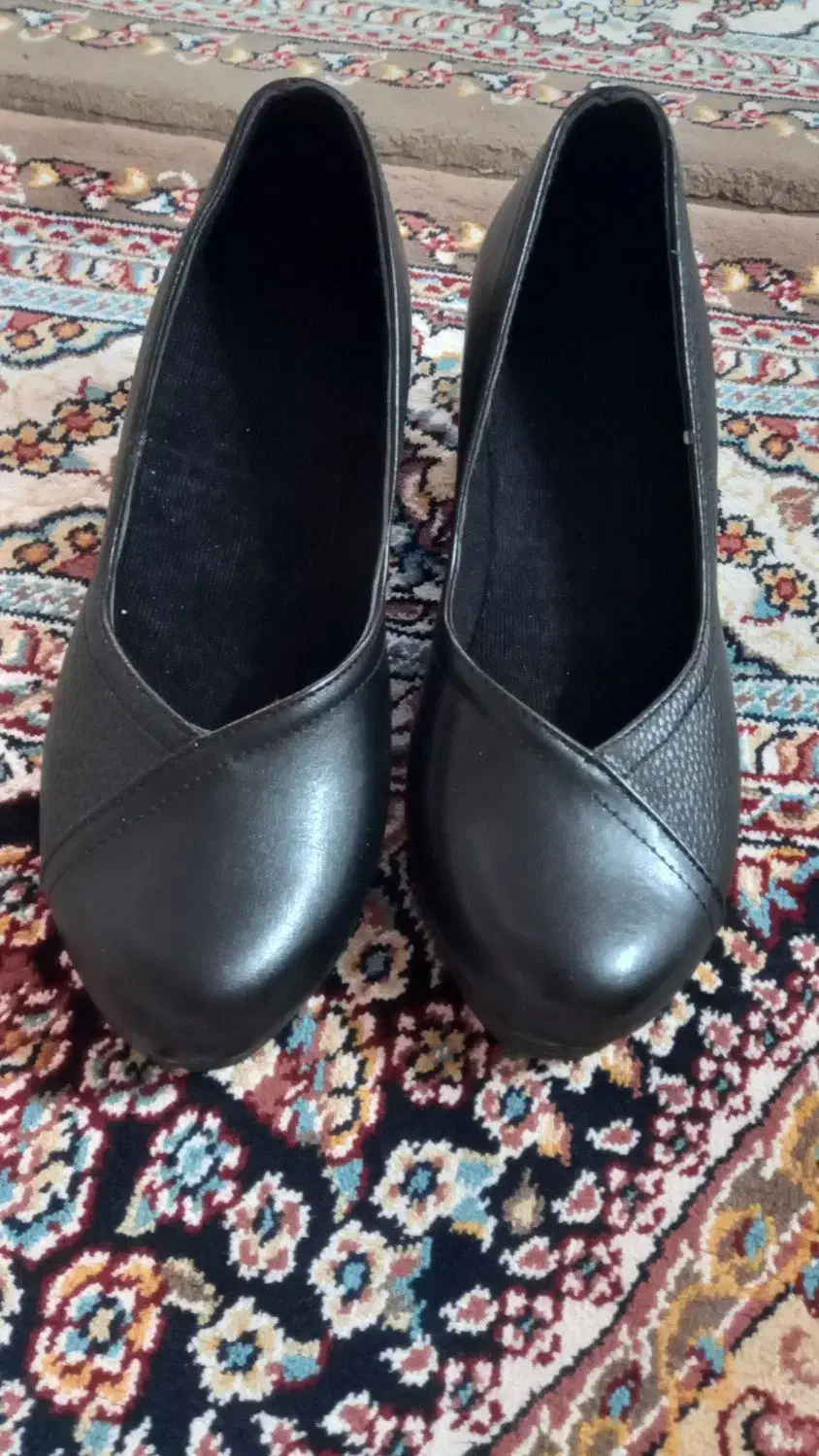 کفش زنانه|کیف، کفش، کمربند|کاشان, زیارتی|دیوار