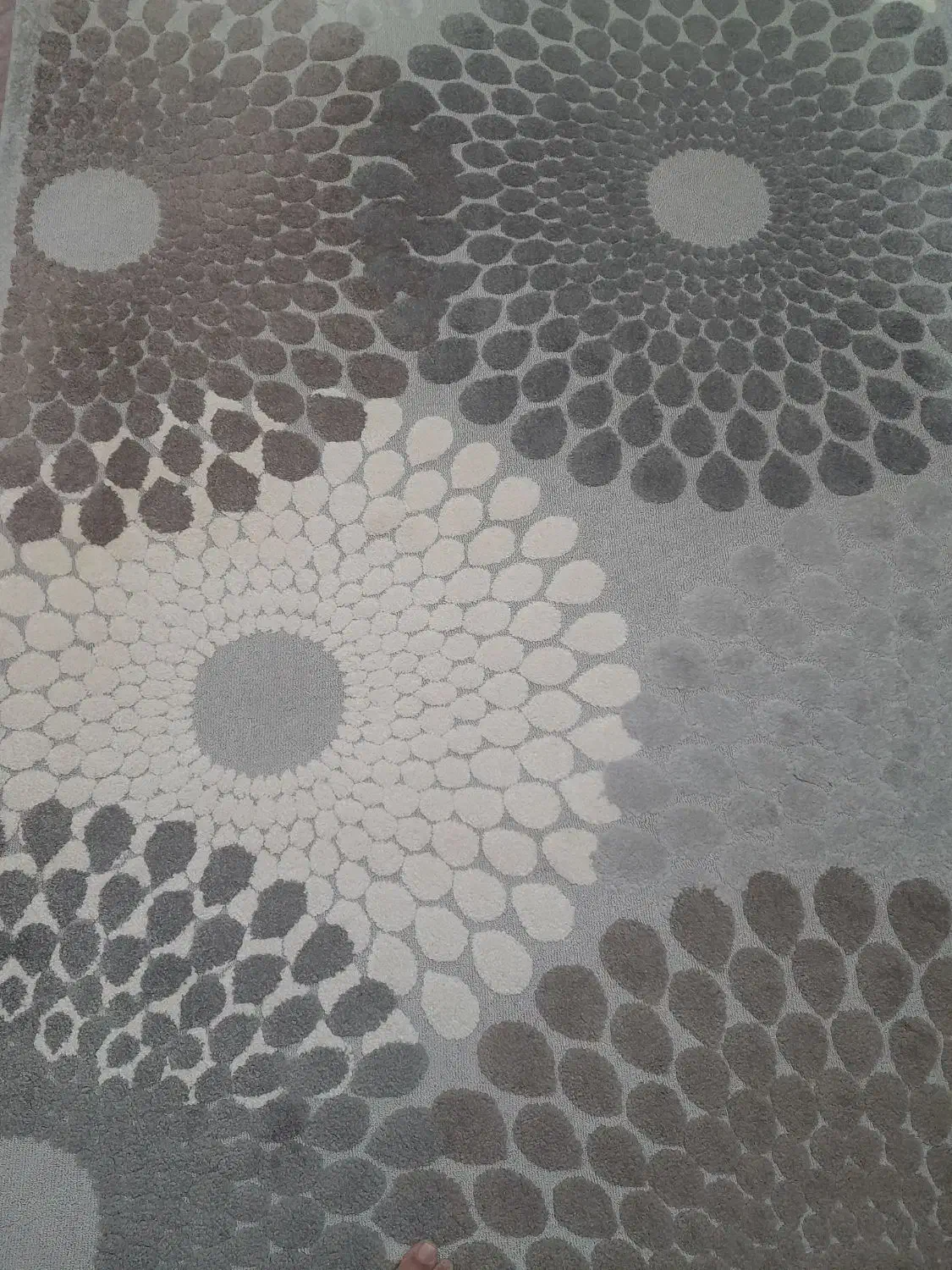 گلیم فرش|فرش|بروجرد, |دیوار