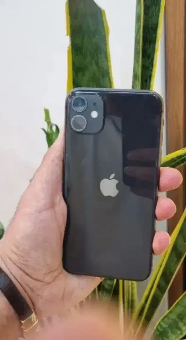 گوشی ایفون ۱۱نرمال|موبایل|تهران, تجریش|دیوار