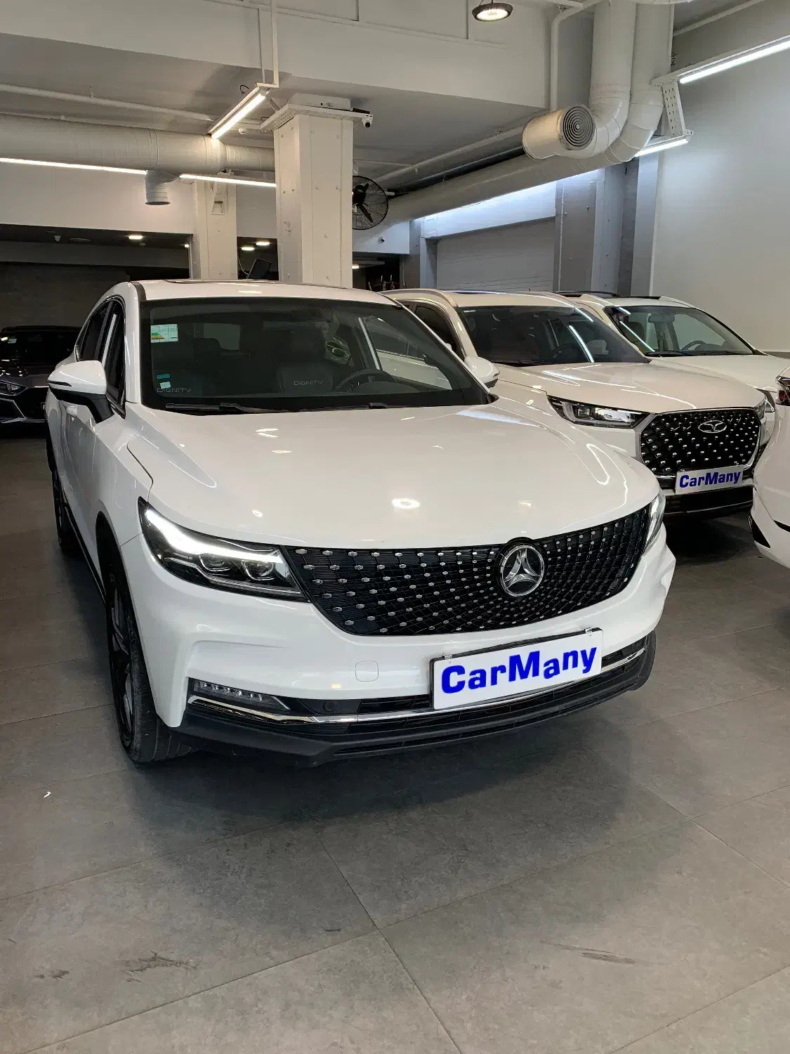 دیگنیتی پرایم|خودرو سواری و وانت|تهران, اباذر|دیوار