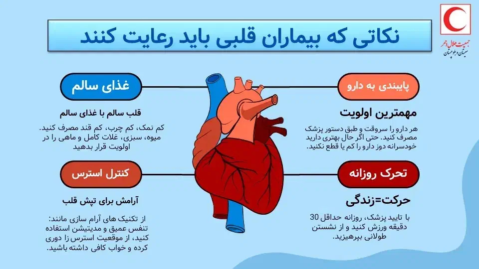 خدمات تایپ و ترجمه تیم حرفهای تایپ پناه|خدمات رایانهای و موبایل|زاهدان, |دیوار