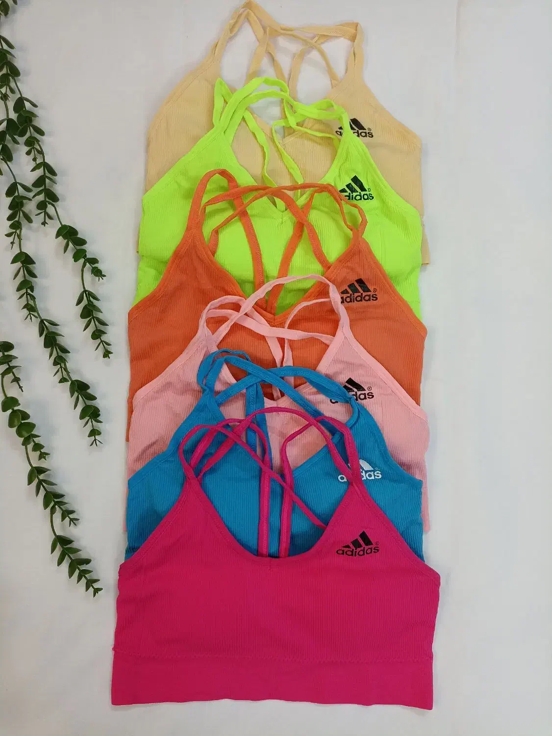 نیم تنه تک|لباس|قم, در بهشت|دیوار