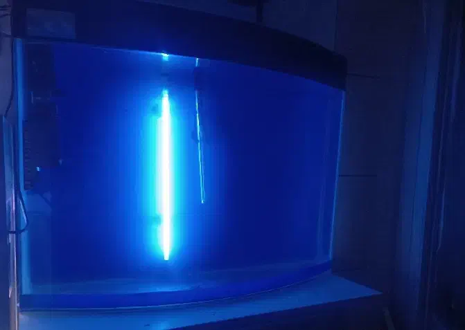 اکواریم|ماهی|زنجان, |دیوار