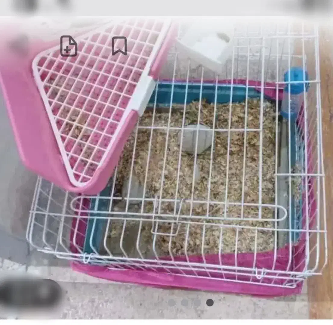 قفس خرگوش همستر خوکچه|لوازم جانبی حیوانات|مشکیندشت, |دیوار