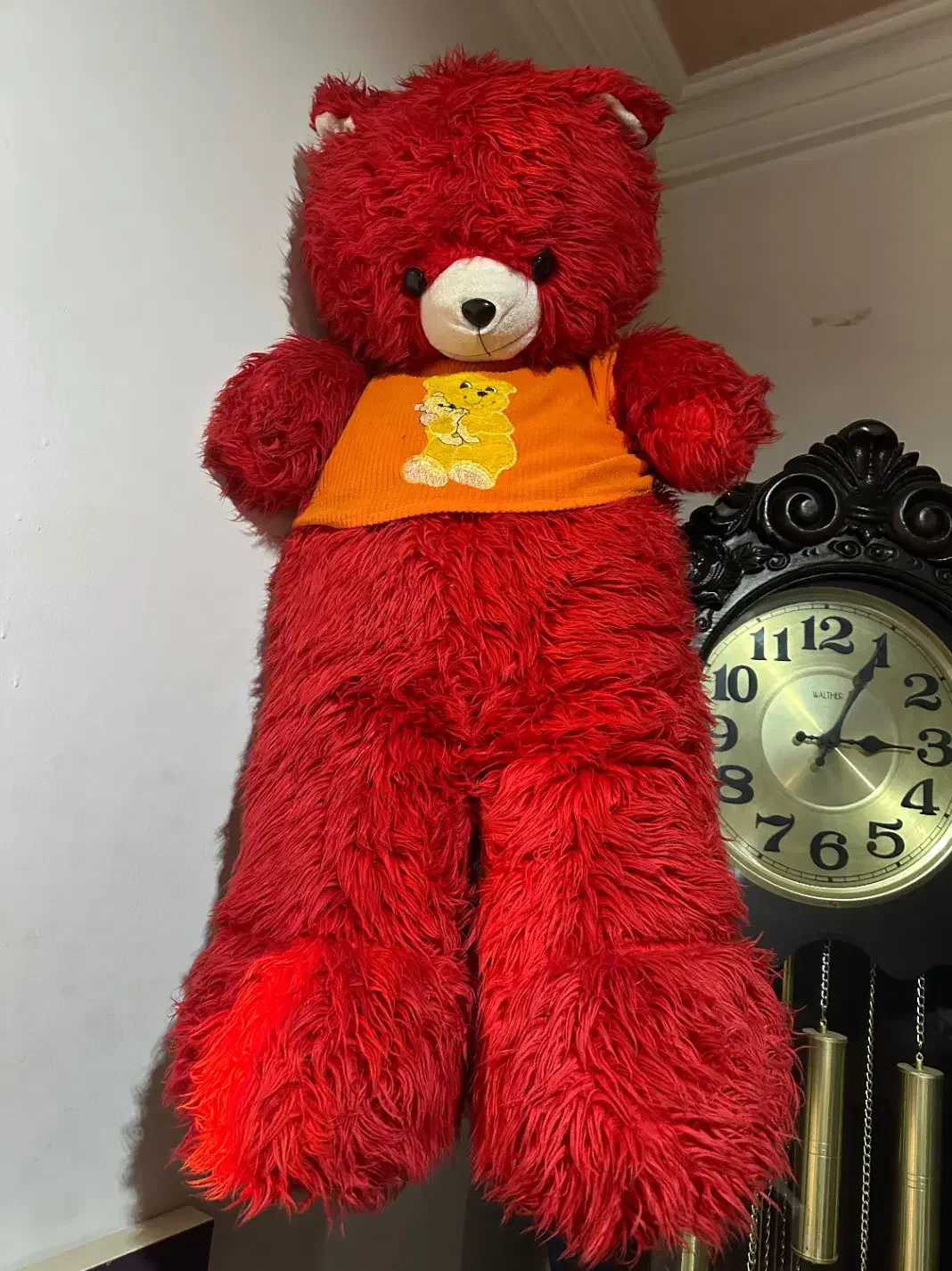 عروسک|اسباببازی بچه|رشت, کوی طالقانی|دیوار