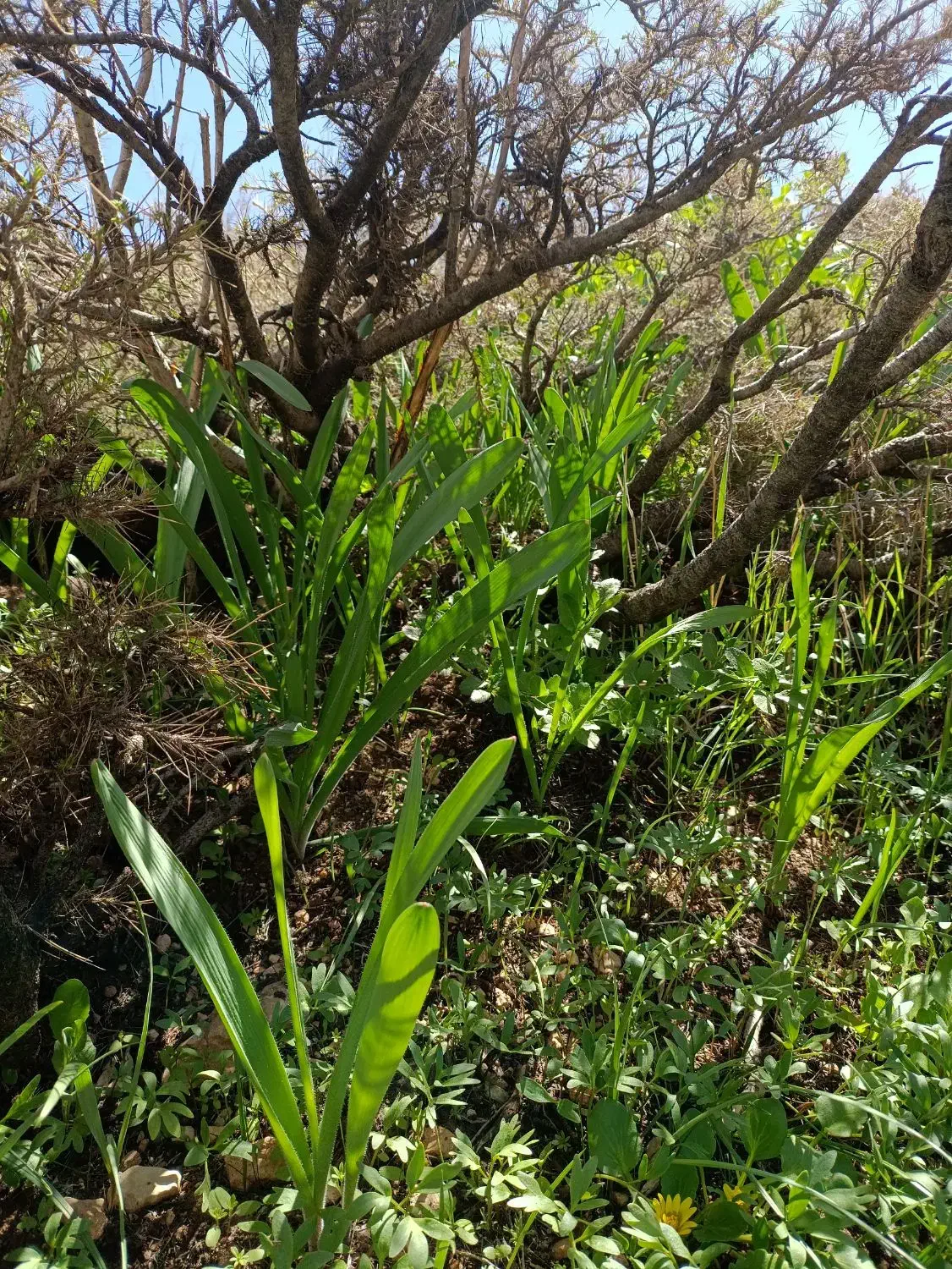 ورزش|کوهنوردی و کمپینگ|آباده, |دیوار