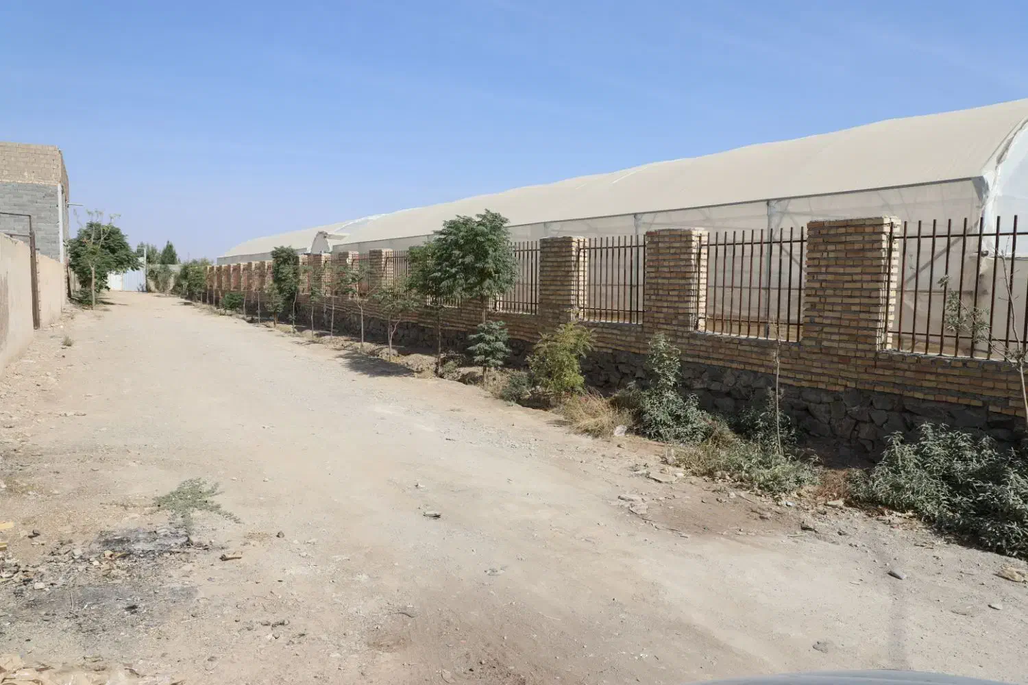 گلخانه نوساز دیوار نرده|فروش دفتر صنعتی، کشاورزی، تجاری|قرچک, داوود آباد|دیوار