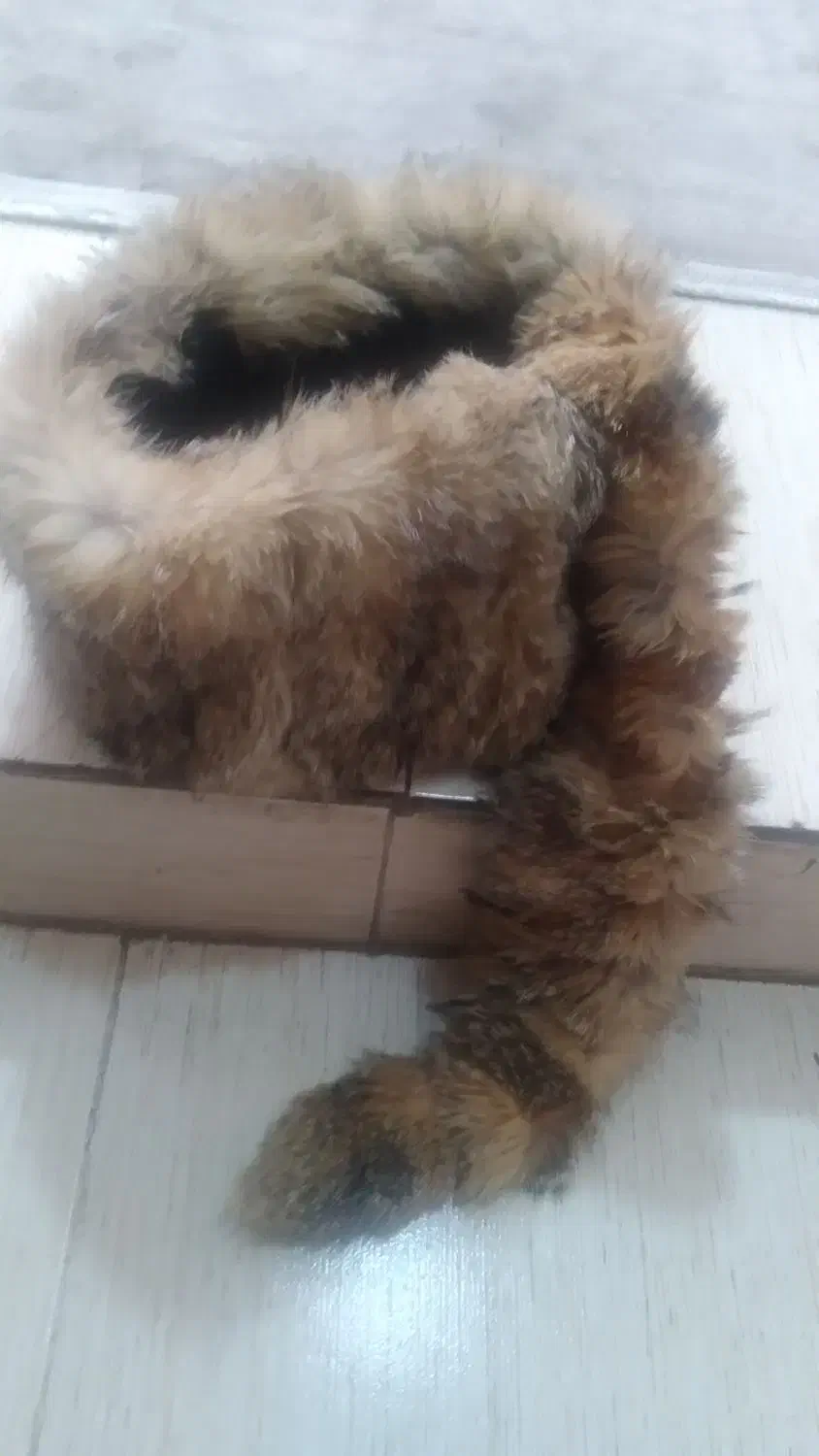 کلاه روس|لباس|تهران, شهید رجایی|دیوار