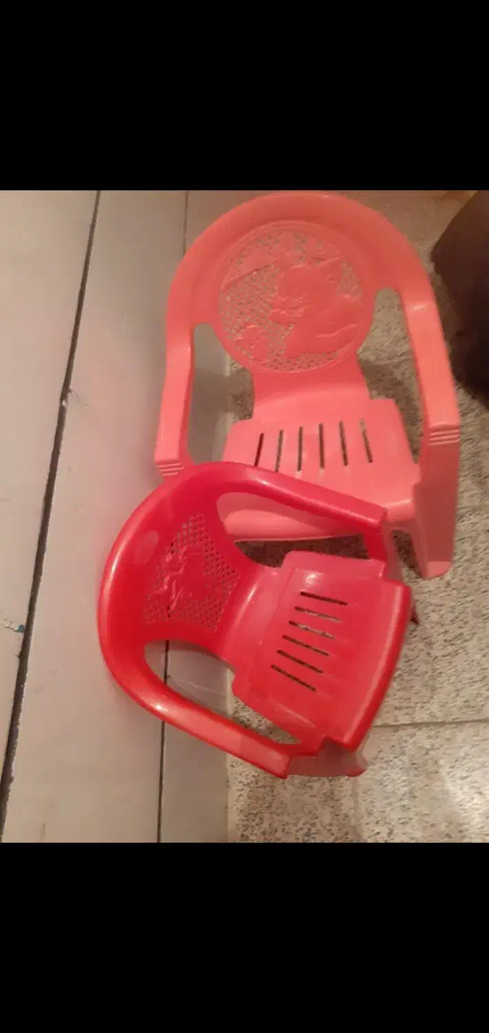 صندلی پلاستیکی|صندلی و نیمکت|قزوین, |دیوار