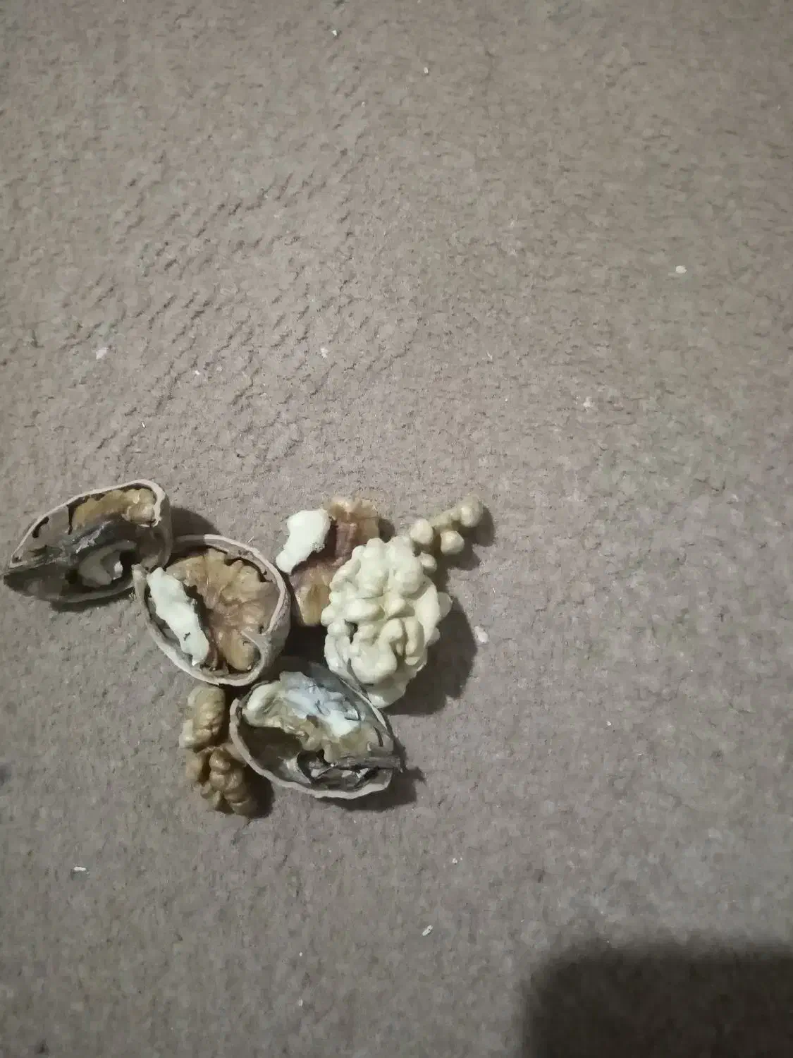 گردوامسال|خوردنی و آشامیدنی|نهاوند, |دیوار