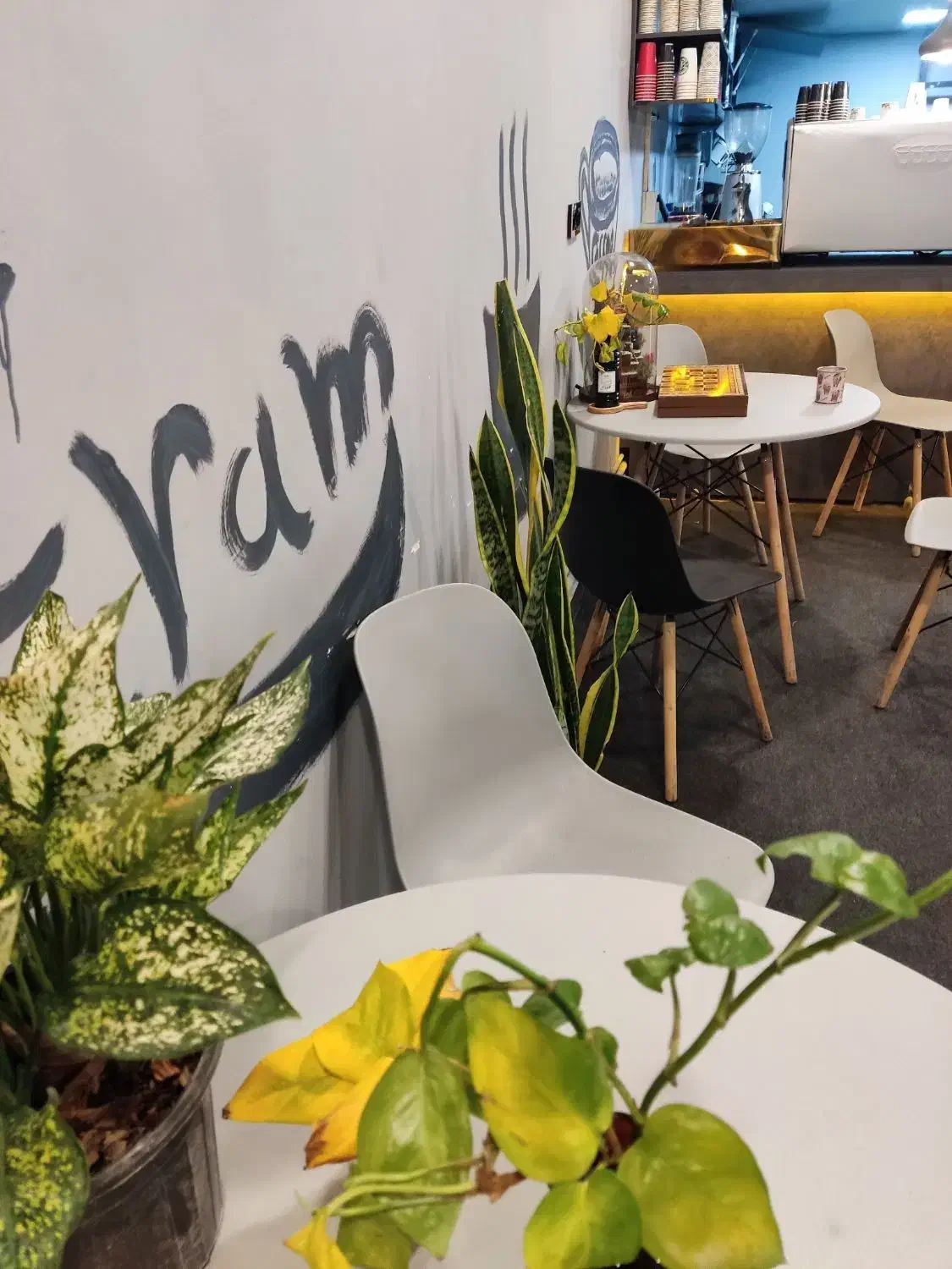 استخدام نیرو جهت کار در کافه|استخدام خدمات فروشگاه و رستوران|عسلویه, |دیوار