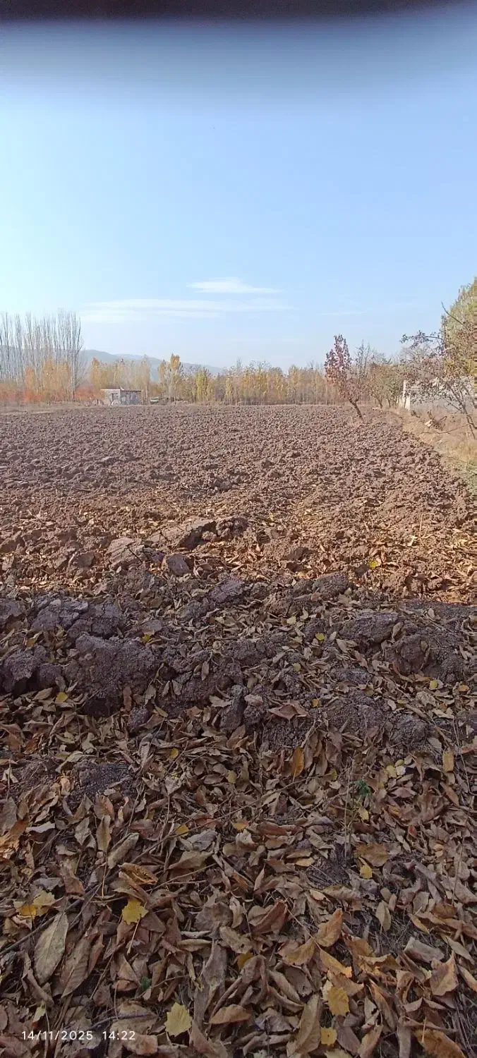 باغ بالاتر از رحیم لینچان|فروش زمین و ملک کلنگی|فیرورق, |دیوار