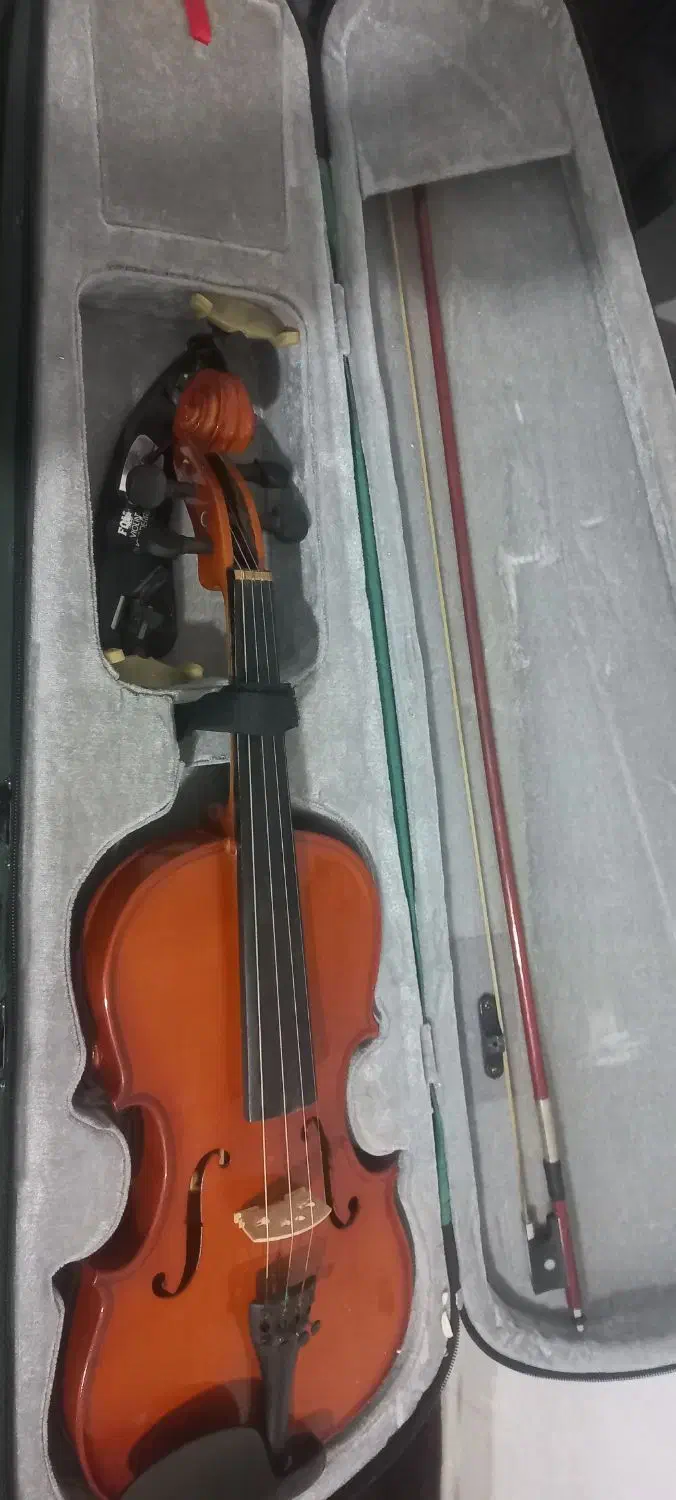 ویولن|ویولن|کرمانشاه, |دیوار