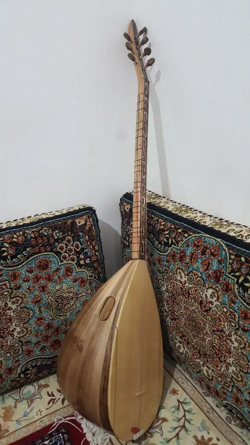 ساز دیوان دسته بلند|سازهای سنتی|سنندج, |دیوار