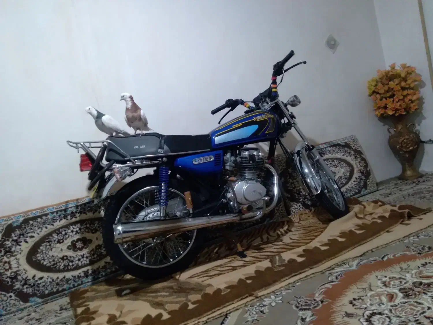 موتور رهرو ۱۲۵|موتورسیکلت|فامنین, |دیوار