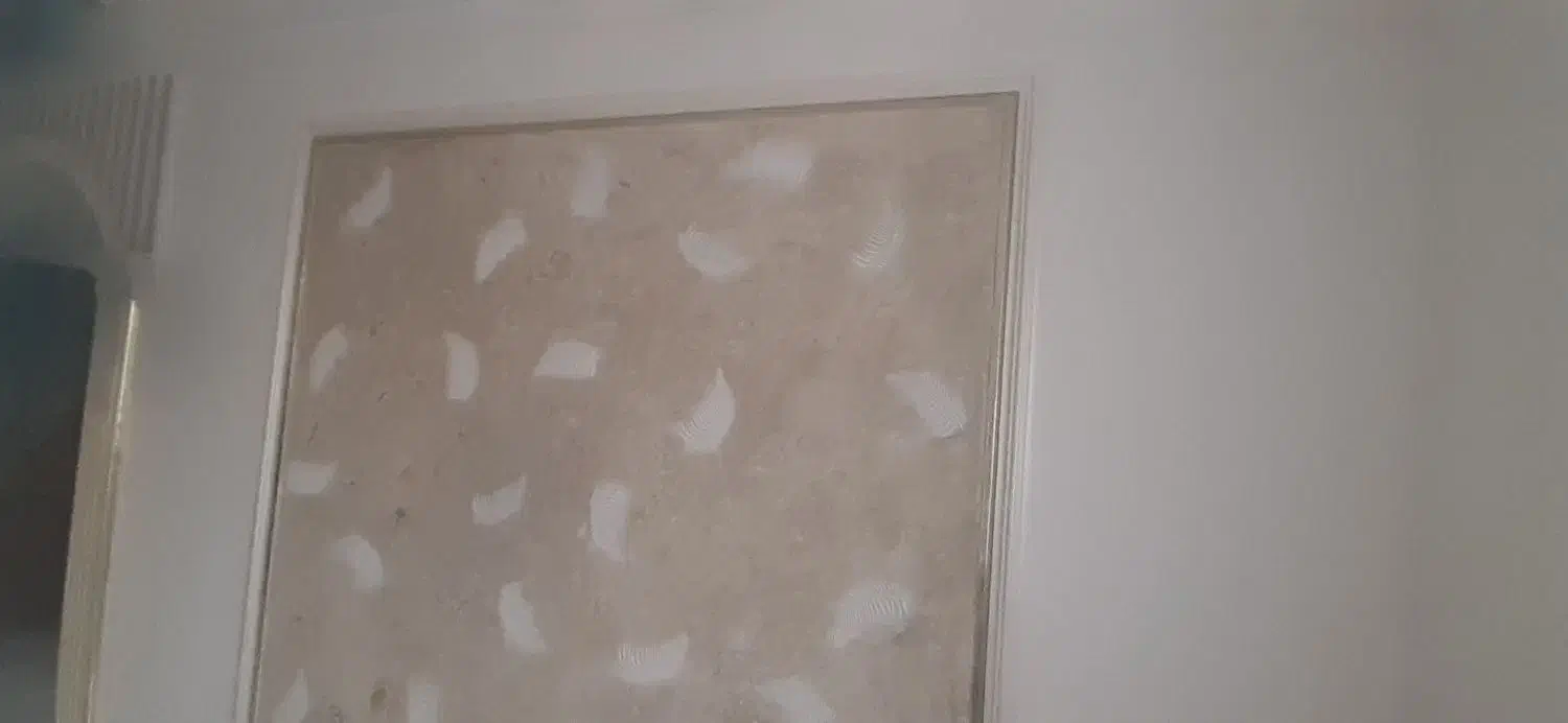 نقاشی ساختمان ،داخل ونما|خدمات پیشه و مهارت|ماکو, |دیوار