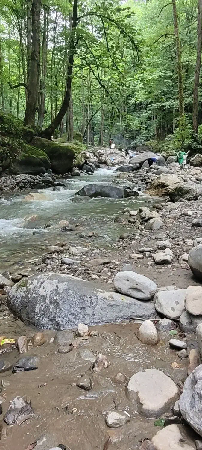 سیم کارت رند رشت دائمی ۲۰ سال خاموش صفر|سیمکارت|رامسر, |دیوار