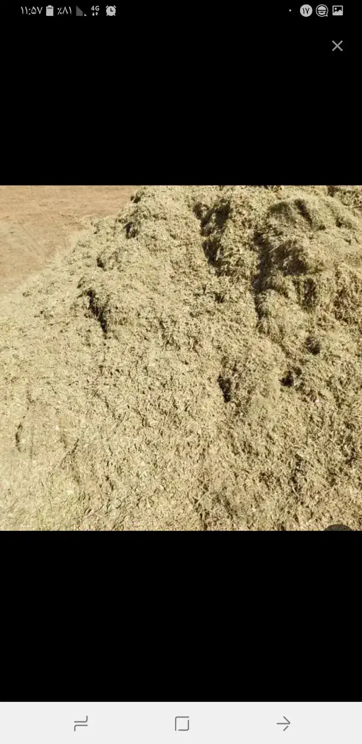 کاه لوبیا عالی ۹ تمن|حیوانات مزرعه|میانه, |دیوار