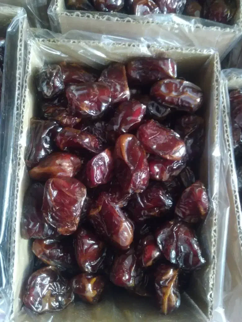 خرمای قشنگ و شیره زده|خوردنی و آشامیدنی|شیراز, آزادگان|دیوار