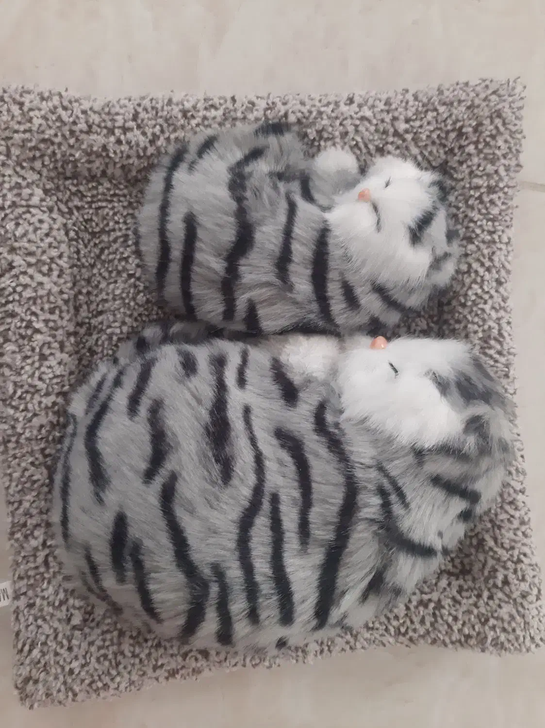 عروسک گربه و اسموشی نو|اسباب‌بازی بچه|قزوین, |دیوار