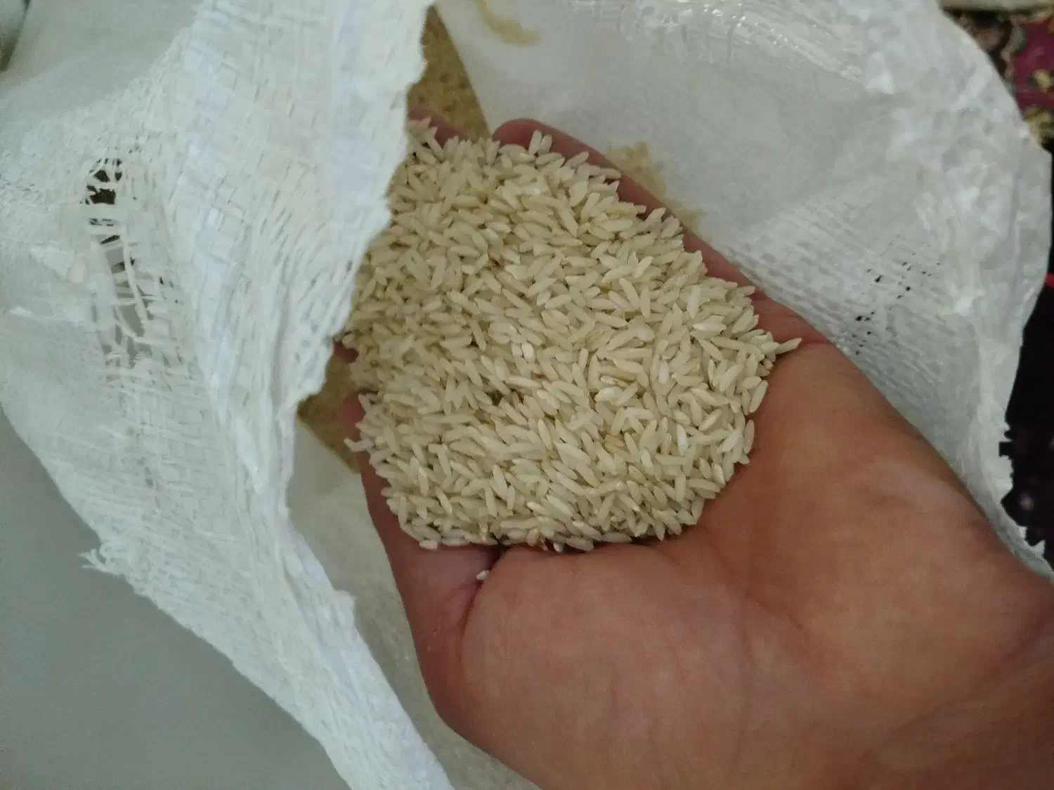 برنج محلی هاشمی|خوردنی و آشامیدنی|بیرانوند, |دیوار