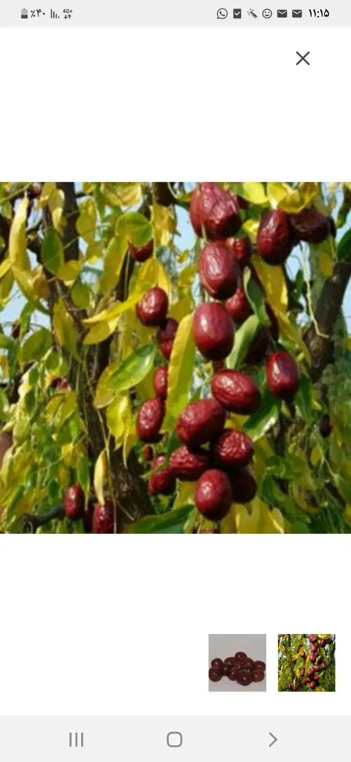 دنبال مغازه برای شراکت|اجارهٔ مغازه و غرفه|تهران, تجریش|دیوار