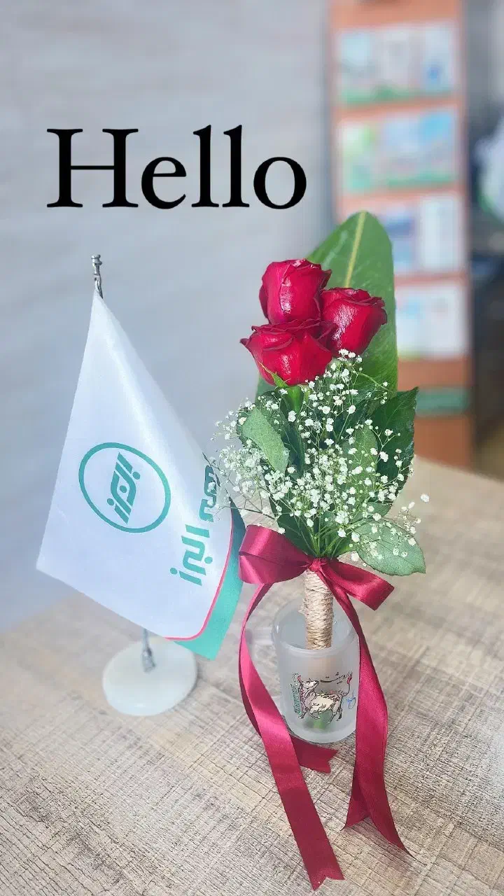 بیمه شخص ثالث اقساطی بدون چک و سفته|خدمات مالی، حسابداری، بیمه|شهرکرد, |دیوار