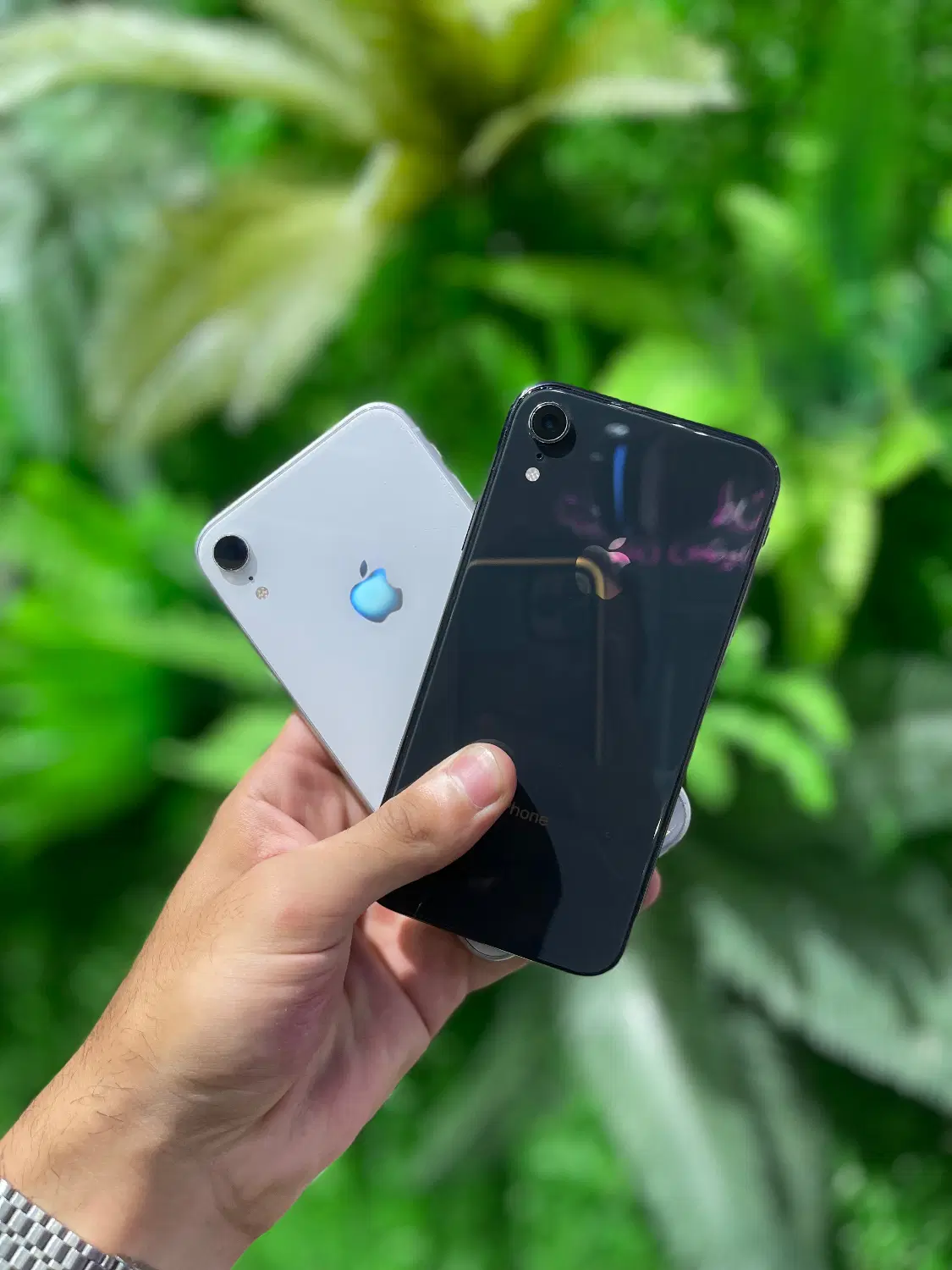 iPhone Xr / Za / اقساط با سفته iPhone|موبایل|تهران, شهرک غرب|دیوار