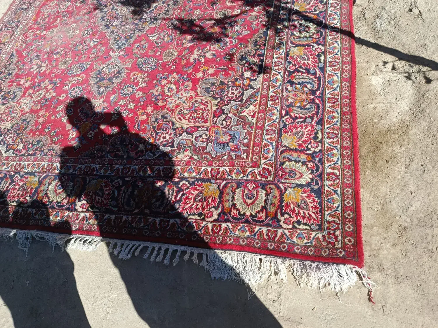 فرش دستباف|فرش|بیرجند, |دیوار