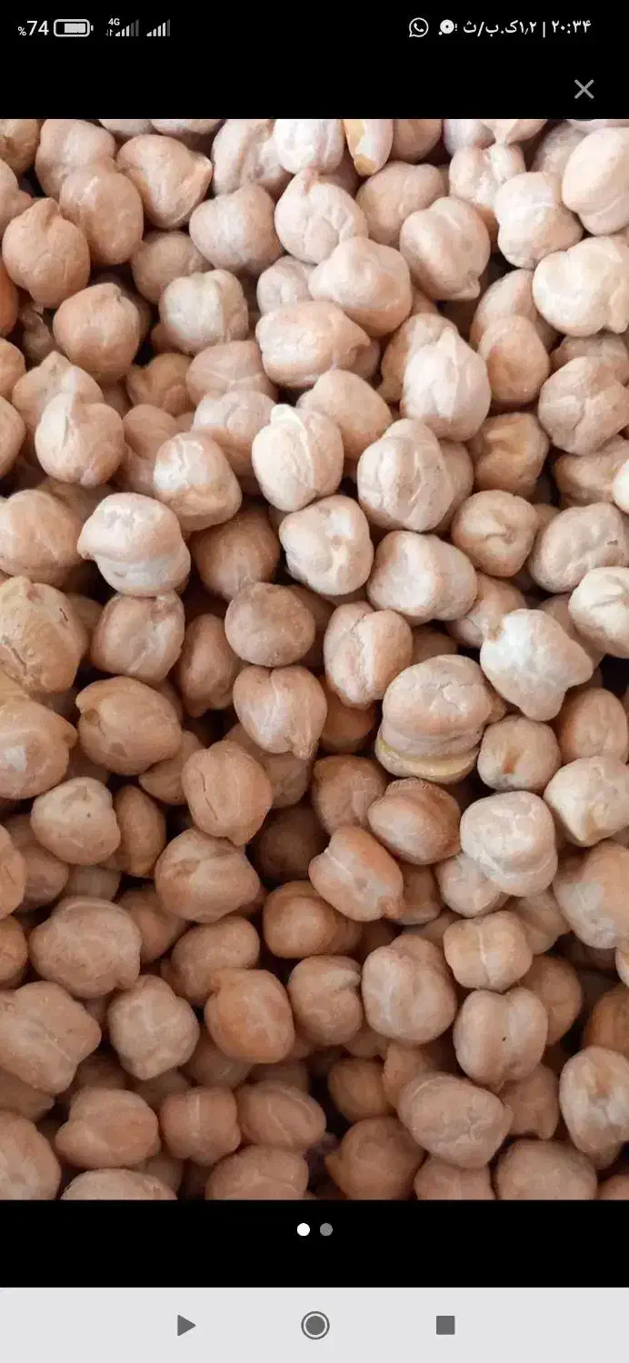 نخود کرمانشاه هیتر بخاری کنترل دار|خوردنی و آشامیدنی|اندیمشک, |دیوار