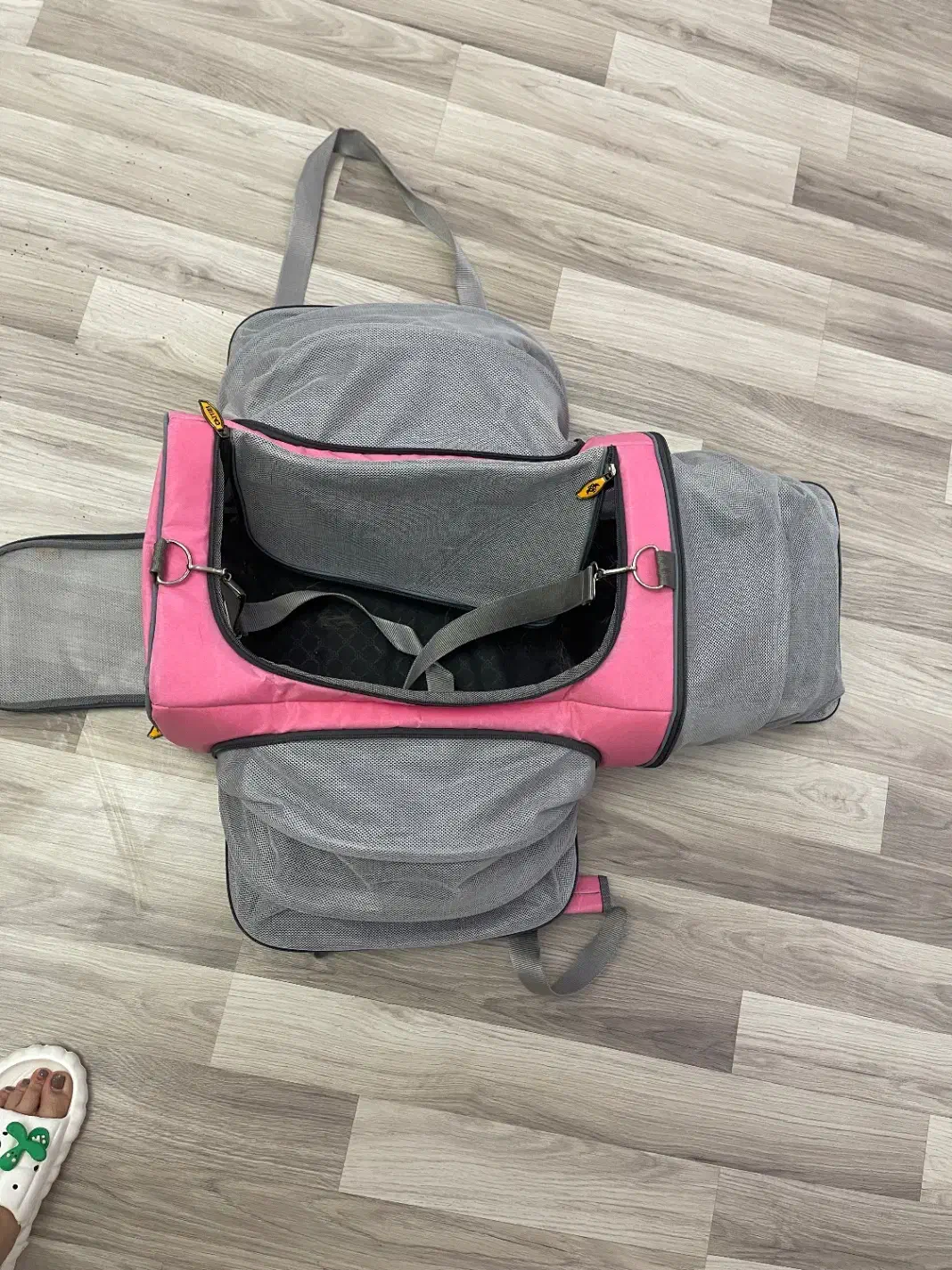 کیف گربه|لوازم جانبی حیوانات|بیرجند, |دیوار