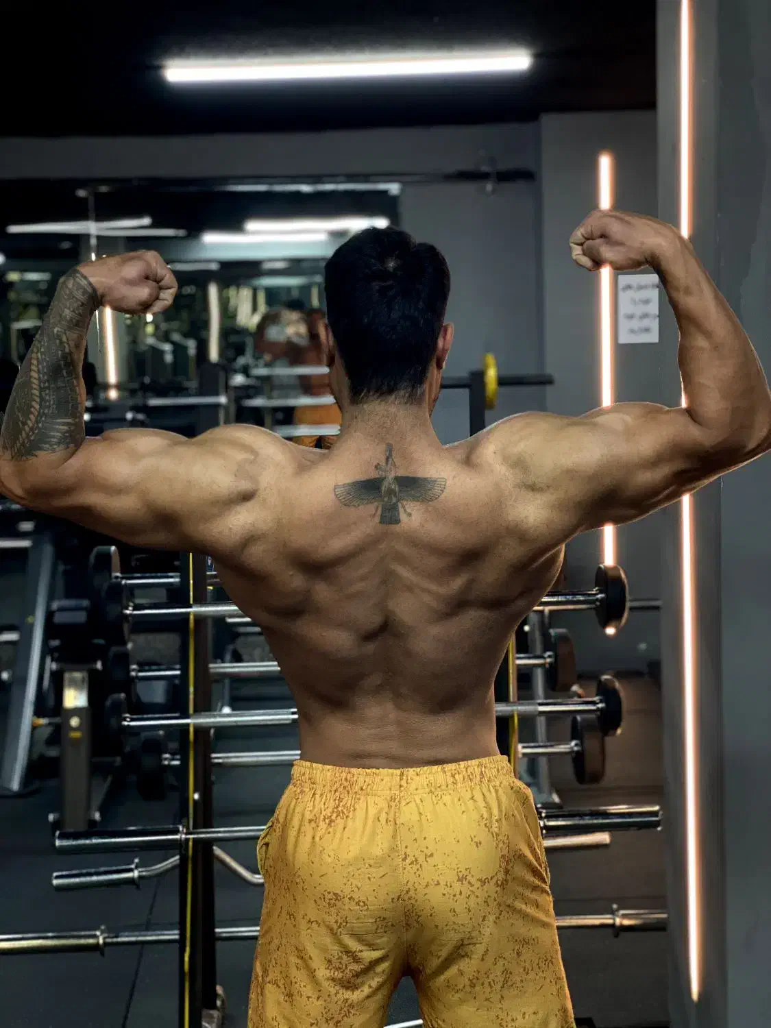 مربی بدنسازی|خدمات آموزشی|تهران, یوسف‌آباد|دیوار