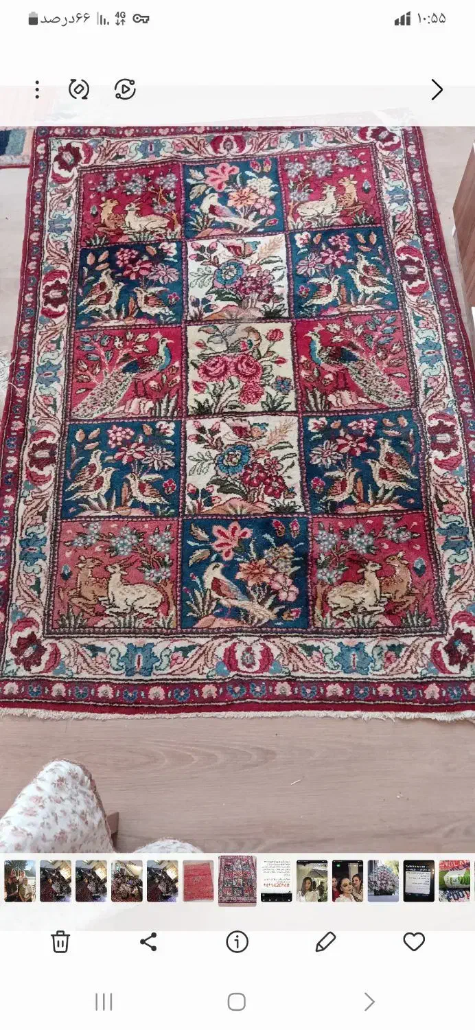 قالیچه|فرش|صدرا-فارس, فاز ۱|دیوار