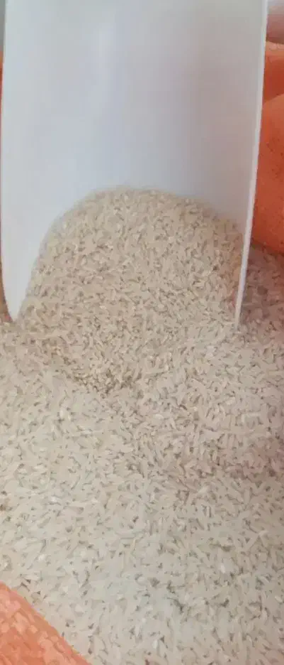 برنج هاشمی|خوردنی و آشامیدنی|رشت, دروازه لاکان|دیوار