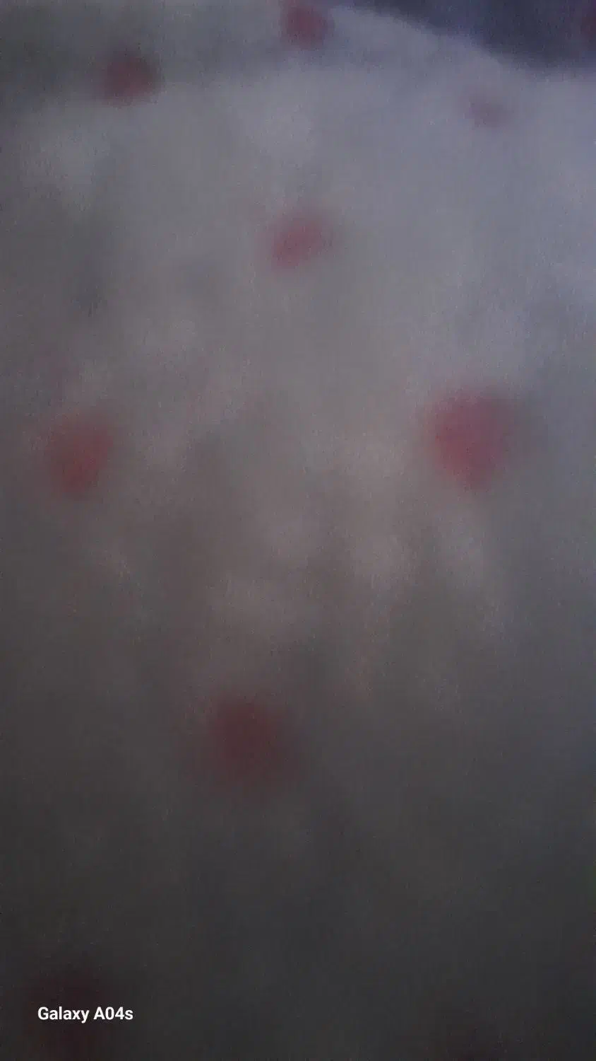 حواله خودرو سایپا اطلس G با sBR|خودرو سواری و وانت|زرند, |دیوار