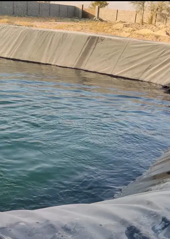 زمین اجاره برای گلخانه|اجارهٔ دفتر صنعتی، کشاورزی، تجاری|مشهد, چهاربرج|دیوار