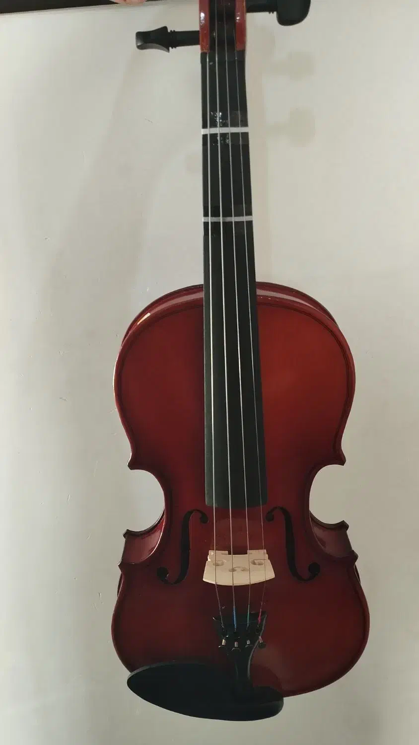 ویالن|ویولن|شیراز, کودیان|دیوار