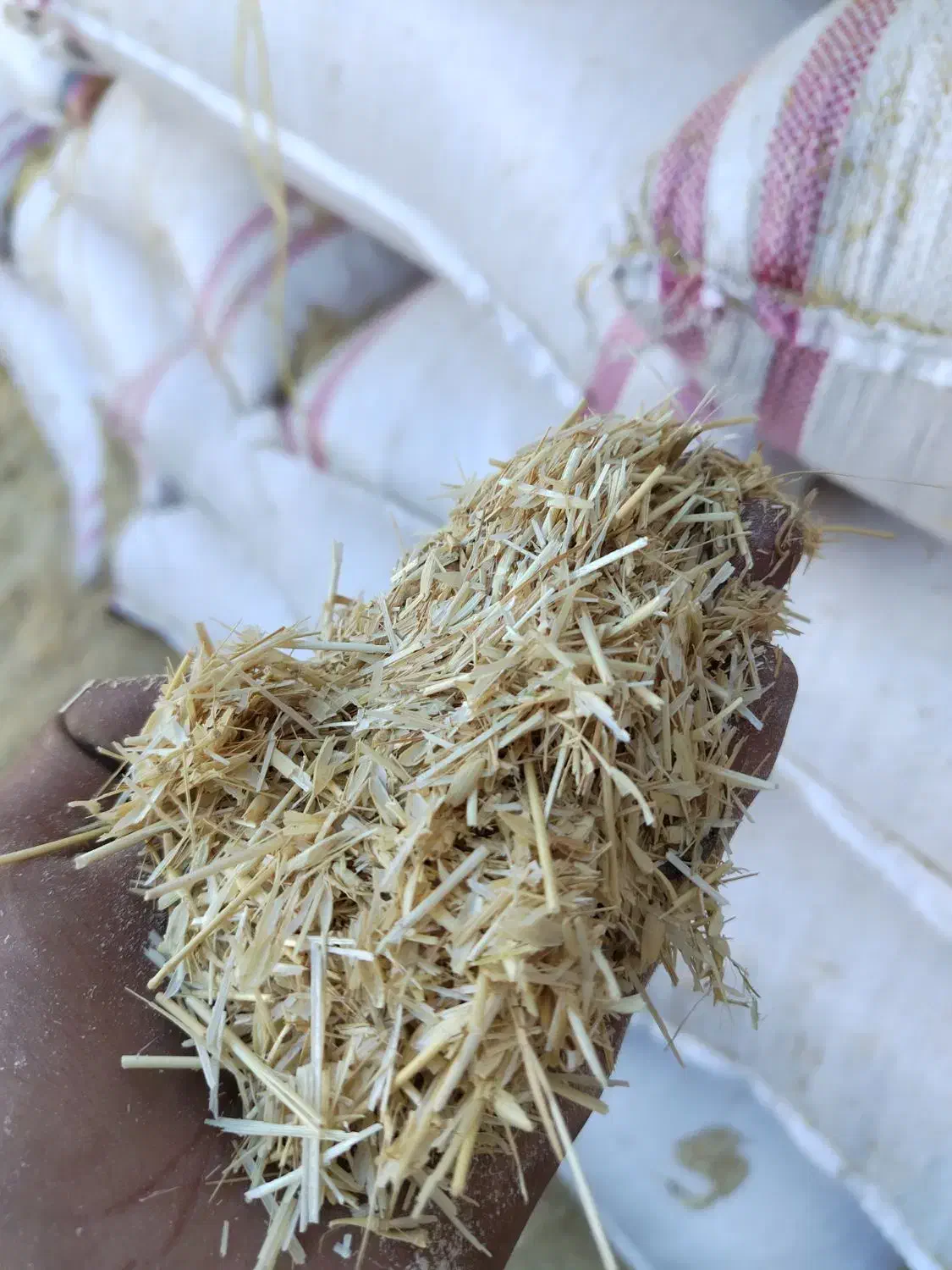 ذرت جو سویا خوراک تفاله چغندر سبوس یونجه|عمدهفروشی|جرقویه, |دیوار