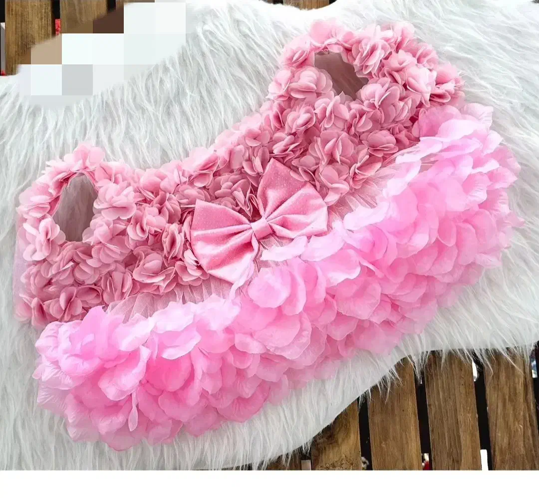 لباس سگ|لوازم جانبی حیوانات|تهران, بلورسازی|دیوار