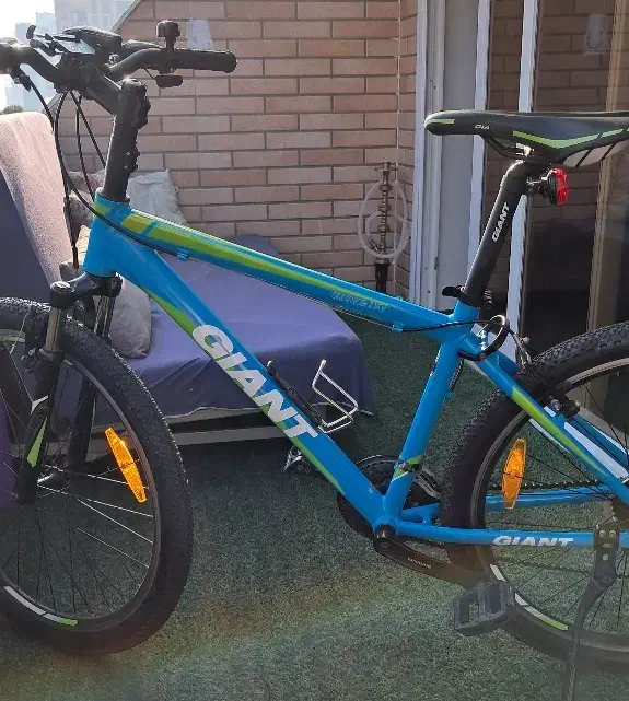 جاینت Giant مدل rincon|دوچرخه، اسکیت، اسکوتر|کیش, |دیوار