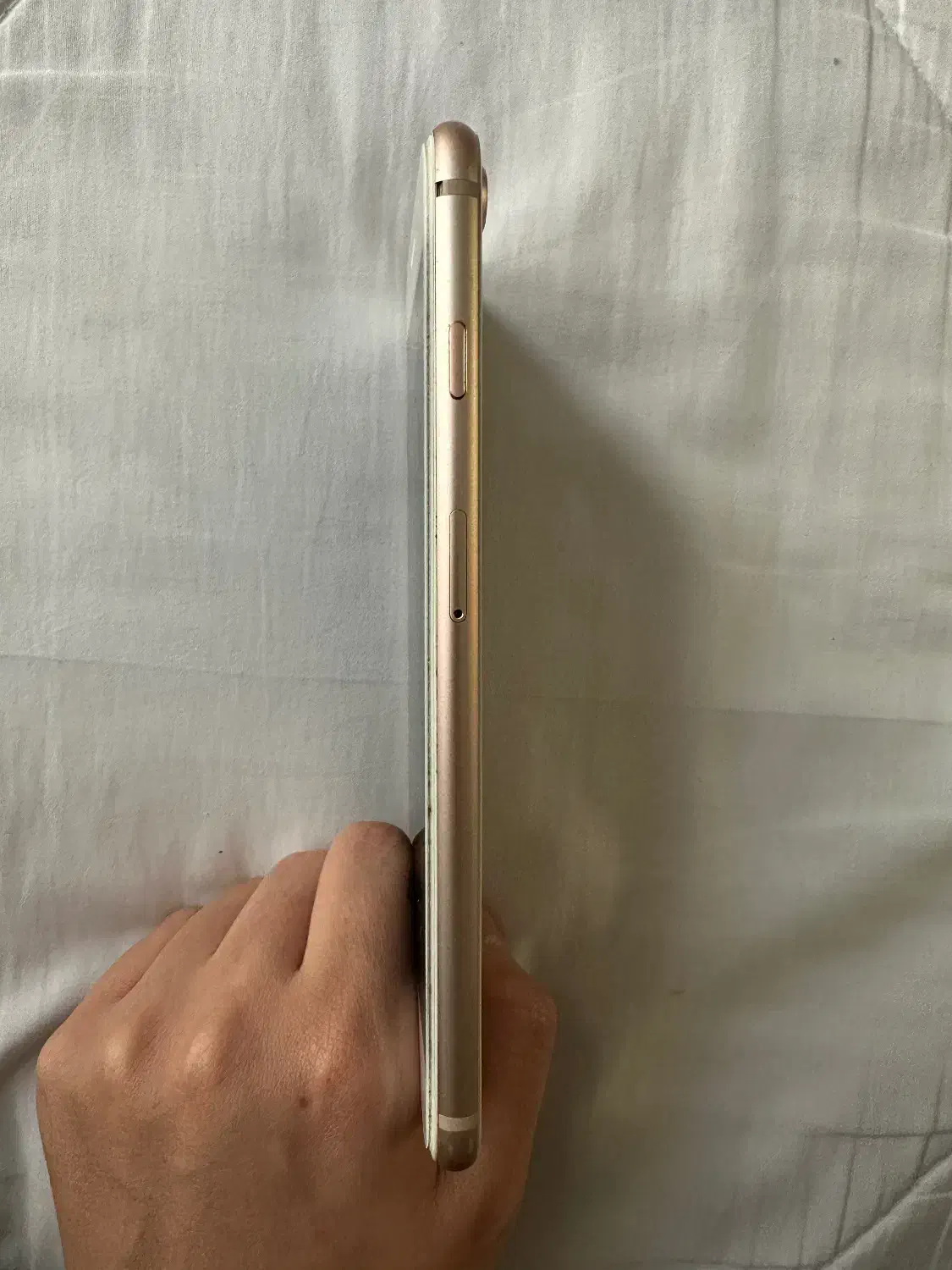 Apple گلد 256|موبایل|ساری, |دیوار