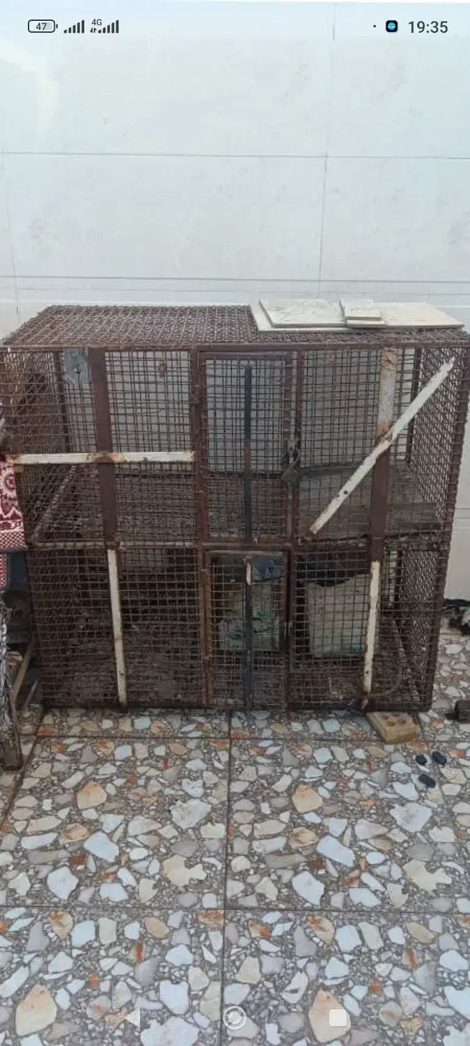 قفس|لوازم جانبی حیوانات|باوی, |دیوار