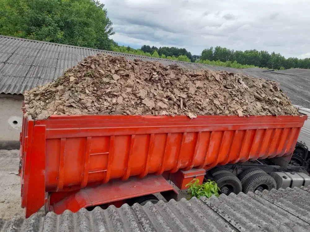 ققنوس کودمرغی|خدمات باغبانی و درختکاری|کرمان, |دیوار