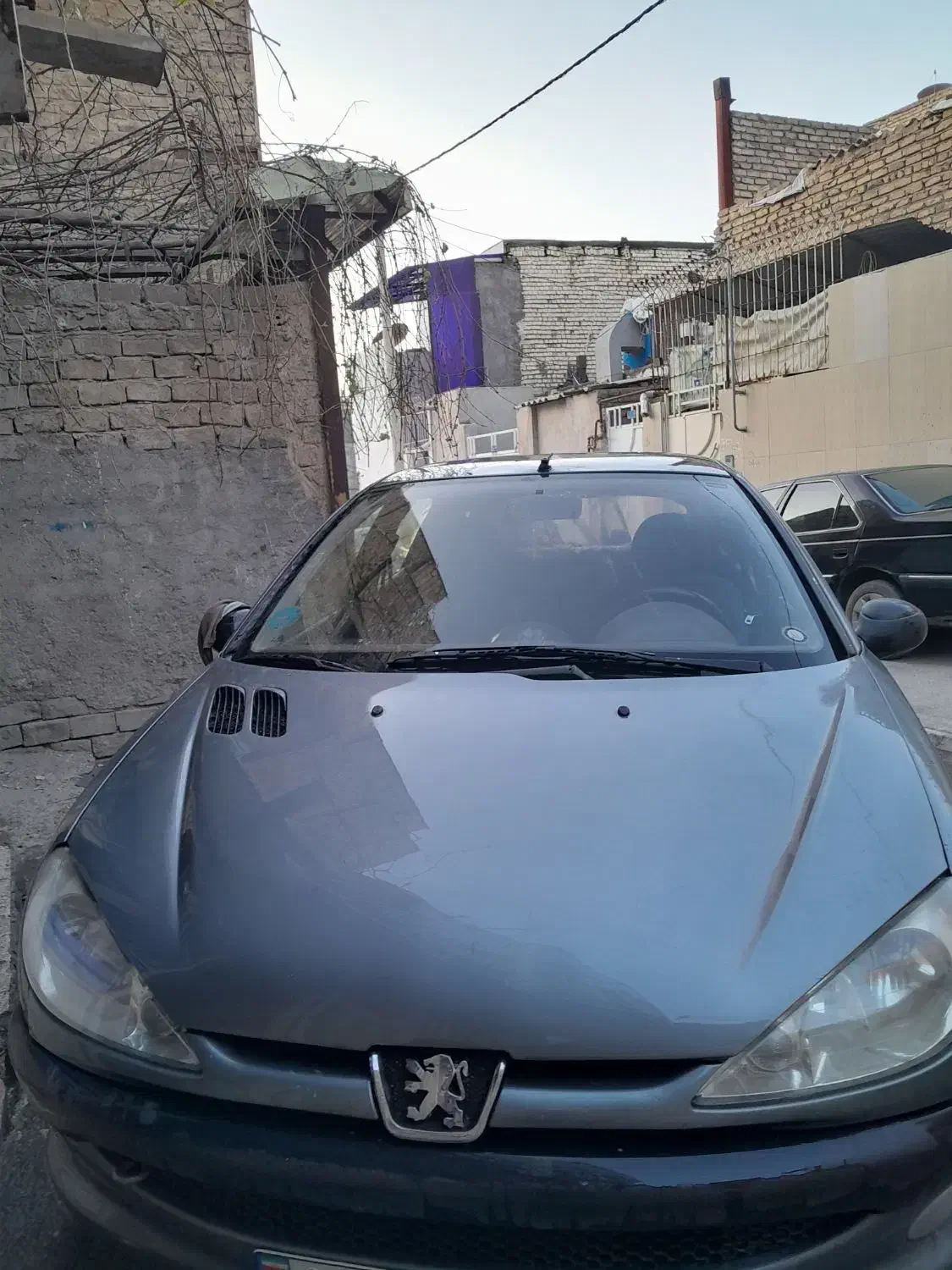 ۲۰۶|خودرو سواری و وانت|مشهد, تبادکان|دیوار