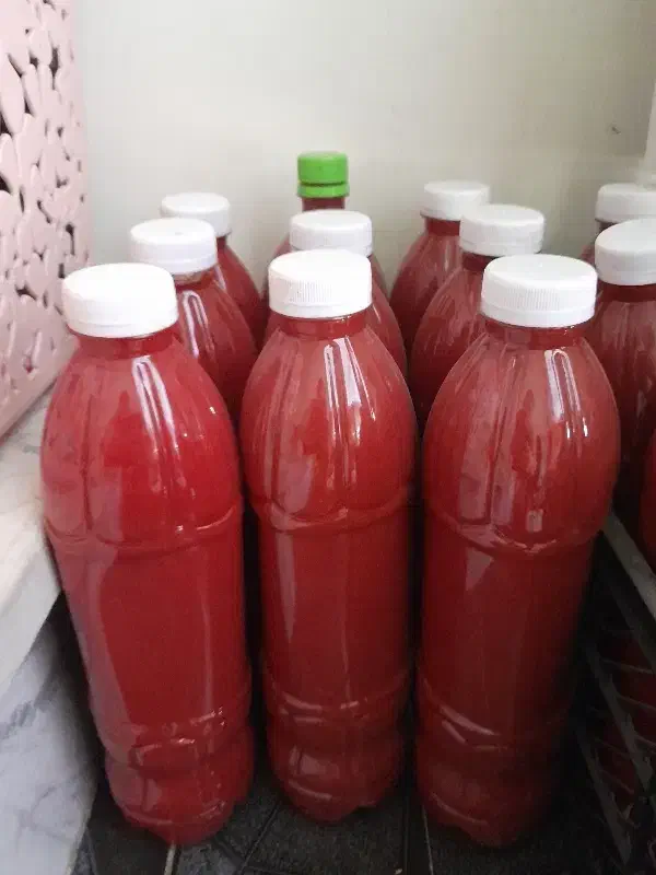 ررب خانگی کاملن سالم و با کیفیت|خوردنی و آشامیدنی|کامیاران, |دیوار